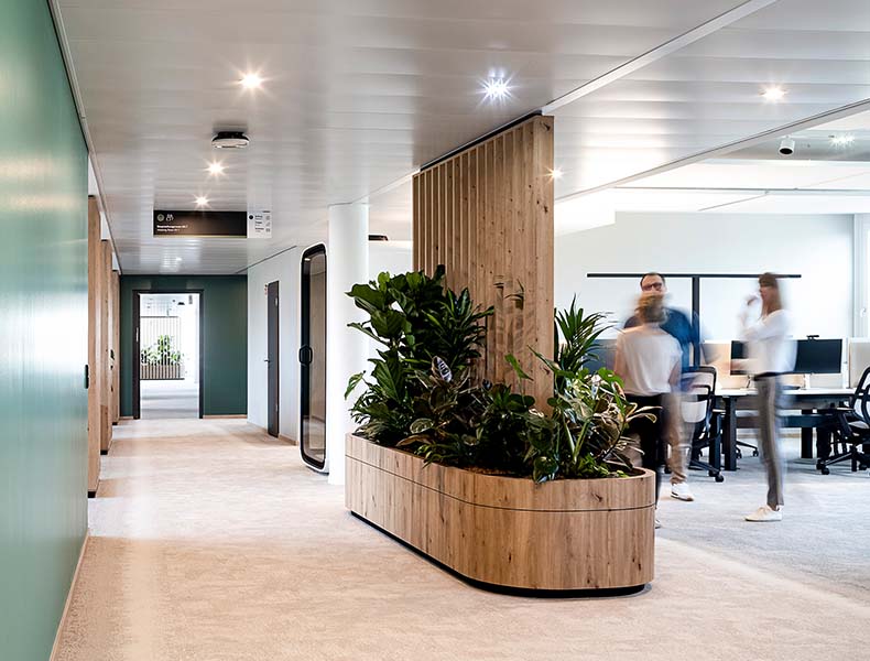 fielmann_raumtrenner_pflanzkasten_objekteinrichtungen_rosink_nordhorn04